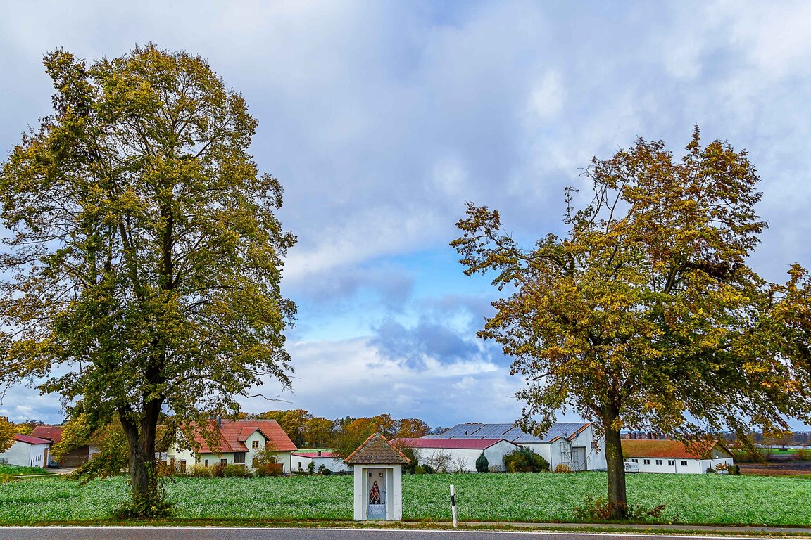 Image: 26_JA_1622 Andrebauer.jpg